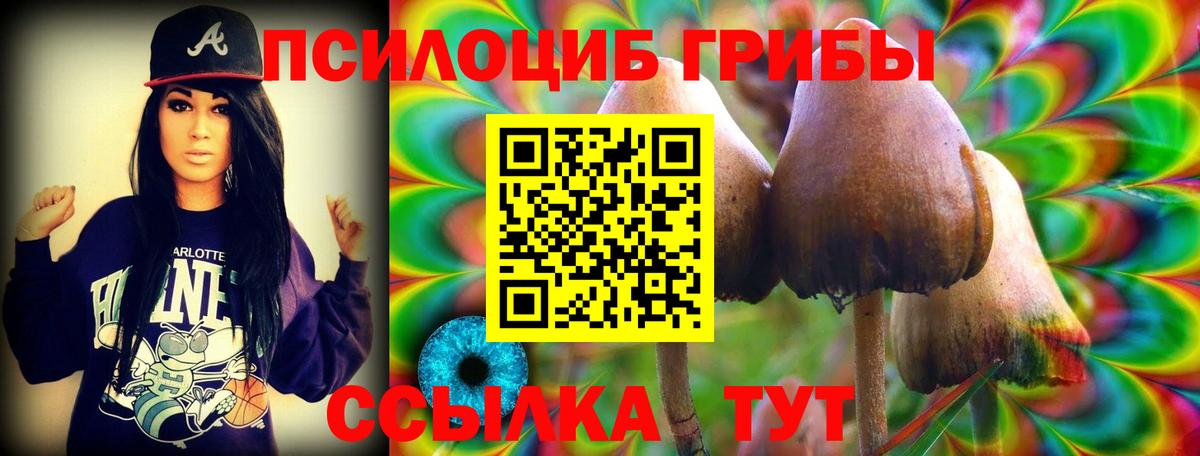 Псилоцибиновые грибы прущие грибы  Вход с VPN  Лесозаводск 